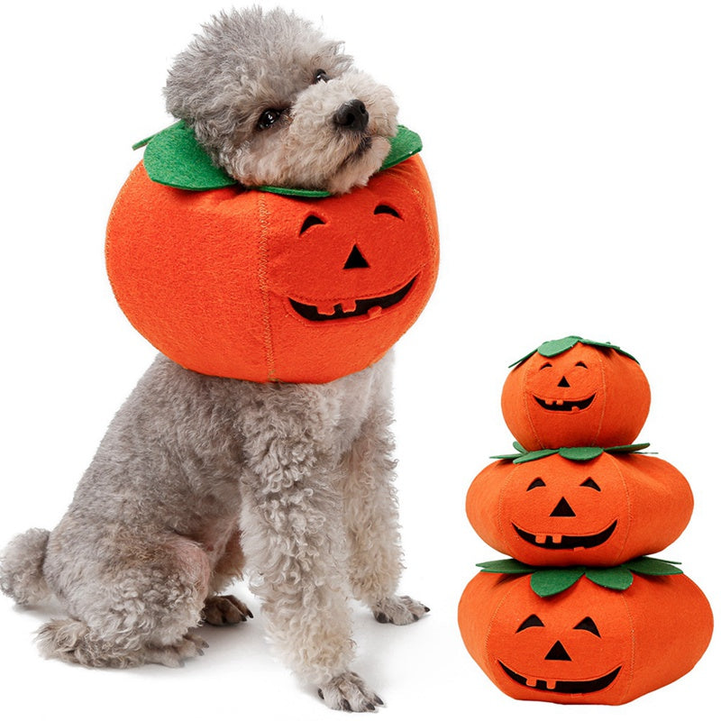 Maskeraddräkt: Pumpa