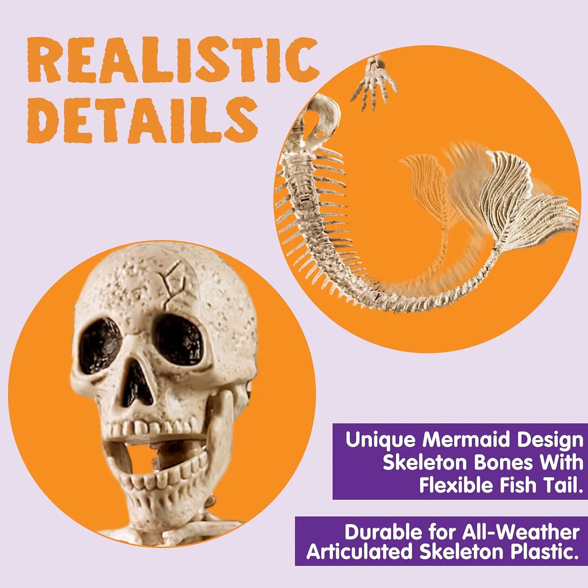 4 PCS Mermaid Skeleton 20in Plastic Bones with Movable Posable Joints – Ventayo