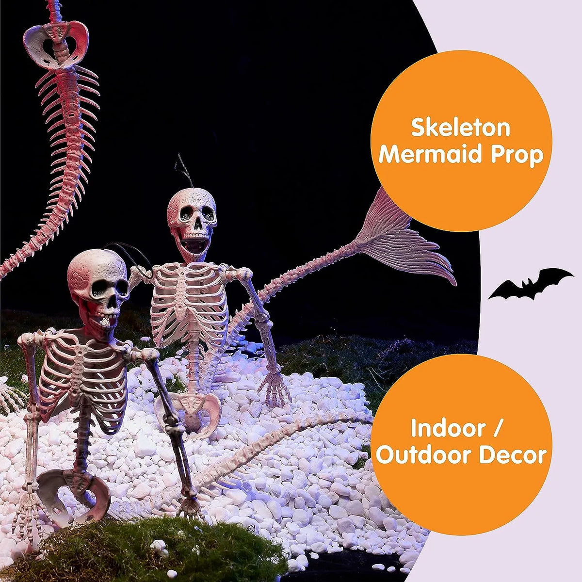 4 PCS Mermaid Skeleton 20in Plastic Bones with Movable Posable Joints – Ventayo