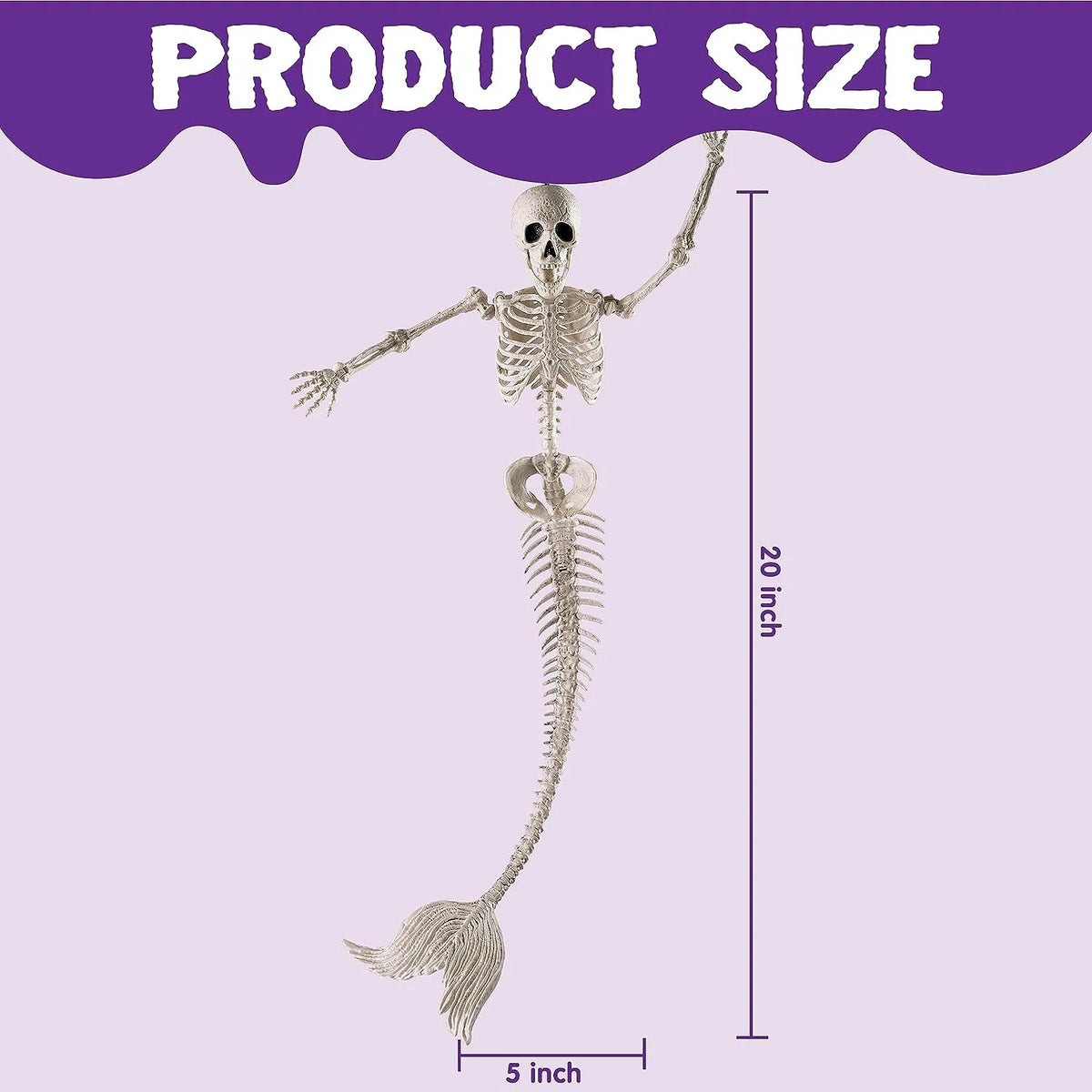 4 PCS Mermaid Skeleton 20in Plastic Bones with Movable Posable Joints – Ventayo