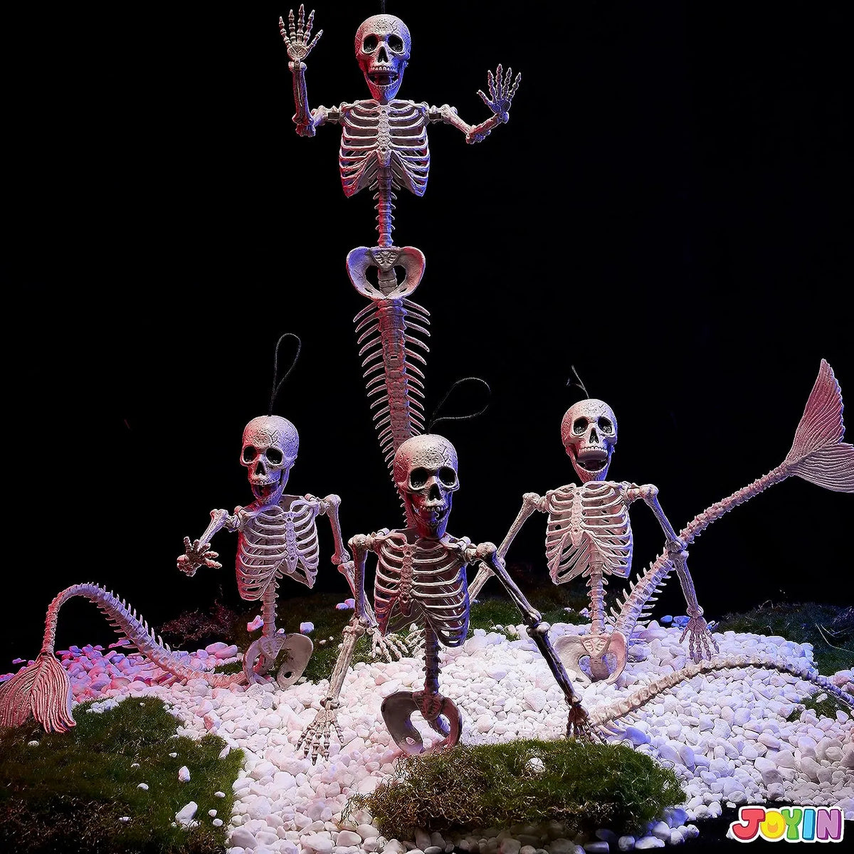 4 PCS Mermaid Skeleton 20in Plastic Bones with Movable Posable Joints – Ventayo