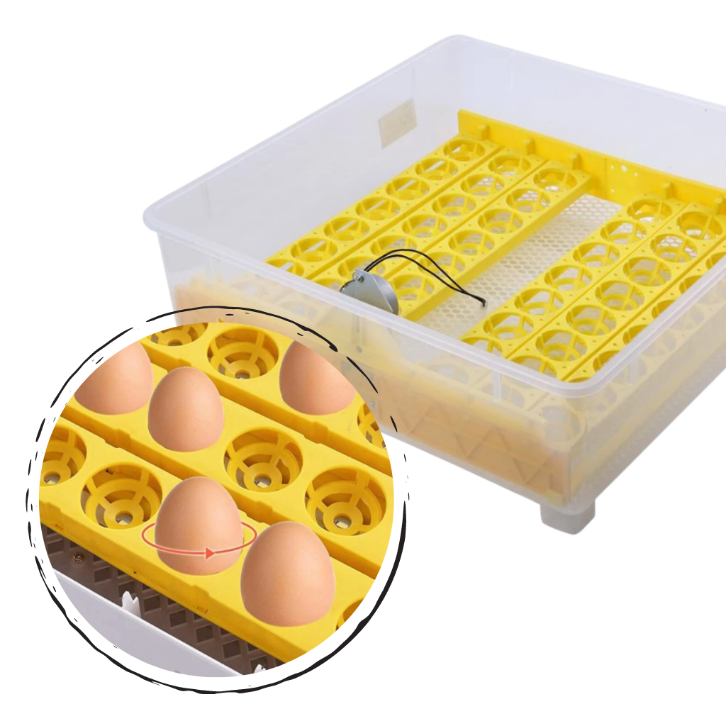 48 Eggs Automatic Digital Egg Incubator