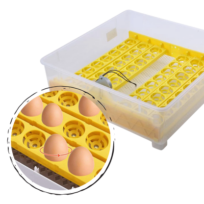 48 Eggs Automatic Digital Egg Incubator