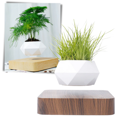 LEVITATING AIR POT PLANT