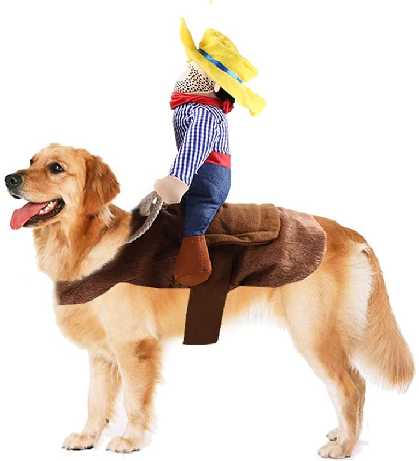 Maskeradkläder: Cowboy