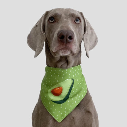 Avocado Scarf