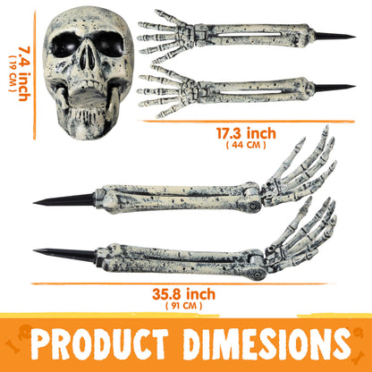 5 Pcs Life Size Skeleton Halloween Decorations Outdoor – Ventayo