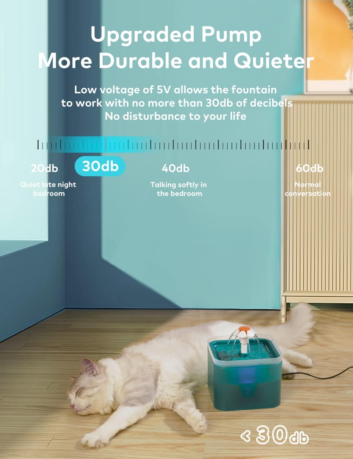 Fontaine à eau potable premium pour chat