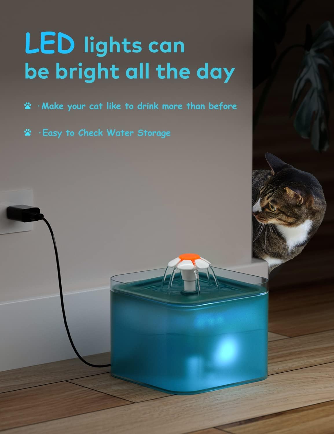 Fontaine à eau potable premium pour chat