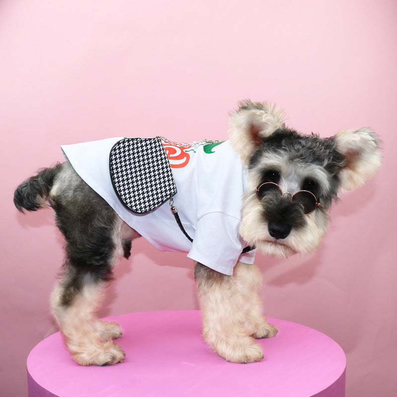 Pet Handbag
