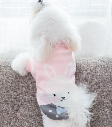 Animal Print Pet Sweater