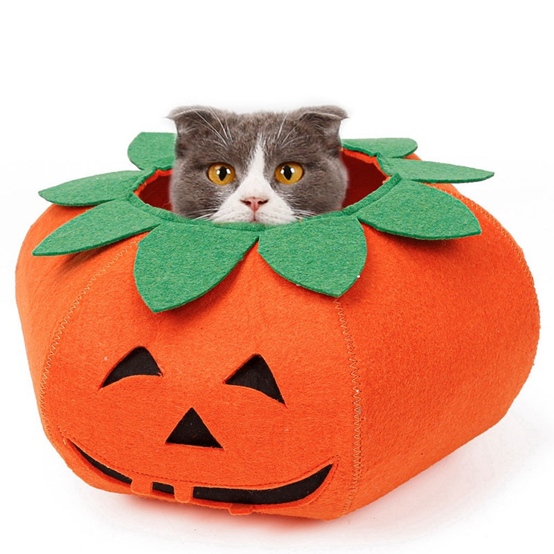 Maskeraddräkt: Pumpa