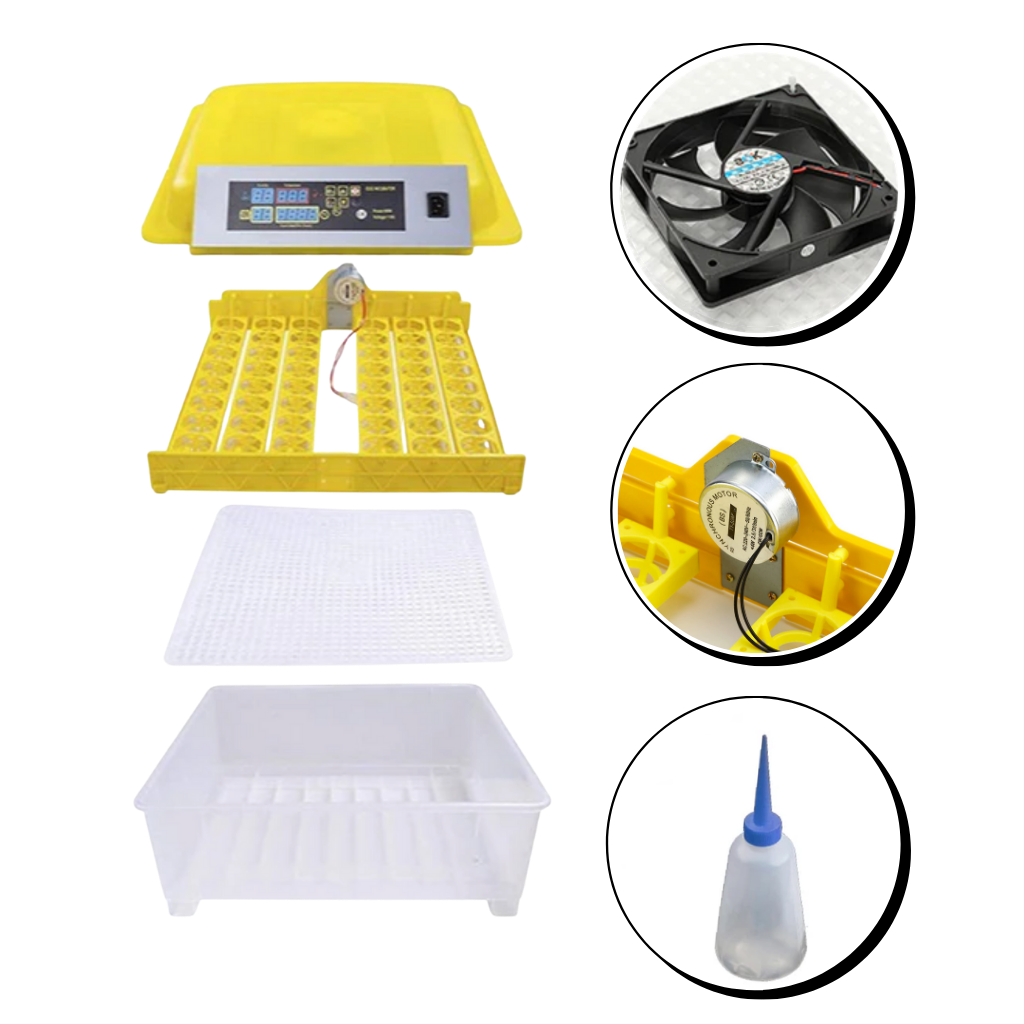 48 Eggs Automatic Digital Egg Incubator