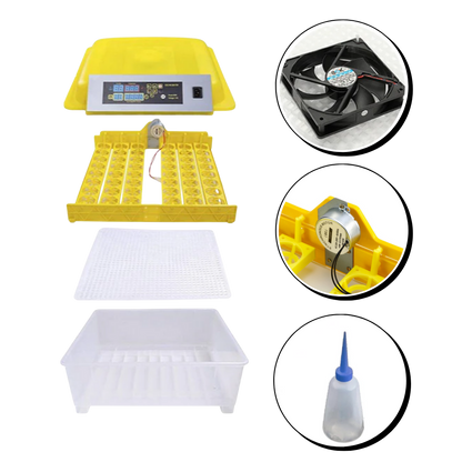 48 Eggs Automatic Digital Egg Incubator