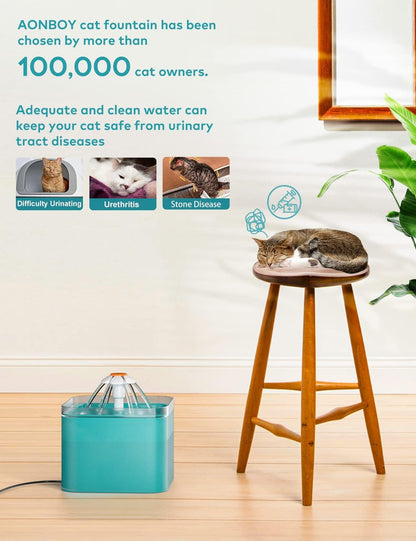 Fontaine à eau potable premium pour chat