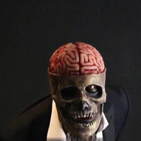Premium Full Head Halloween Mask – Ventayo