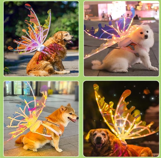 LED Butterfly Fairy Wings – Ventayo