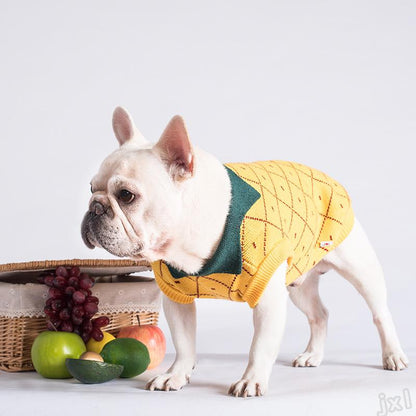 Pull pour animal en ananas