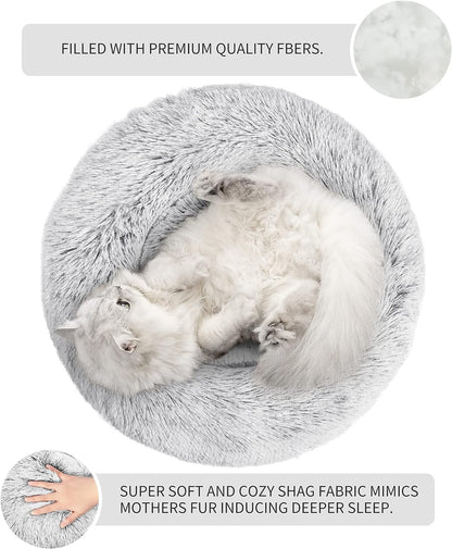 Luxury Indoor Cat Bed