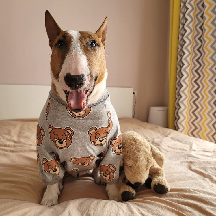 Bear Print Clothing