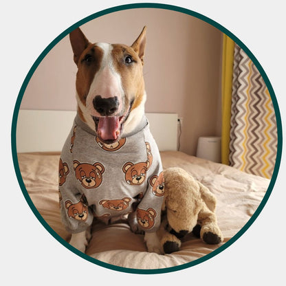 Bear Print Clothing