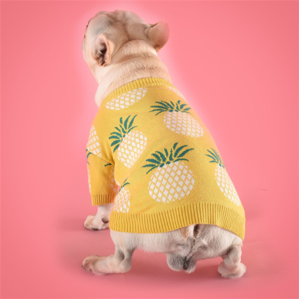 Yellow Pineapple Sweater