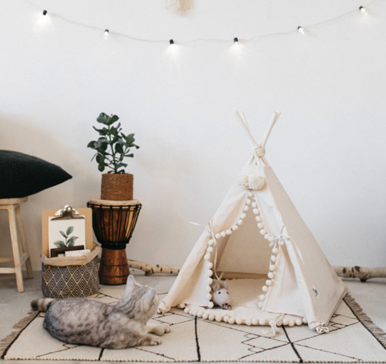Bohemsk kjæledyr TeePee