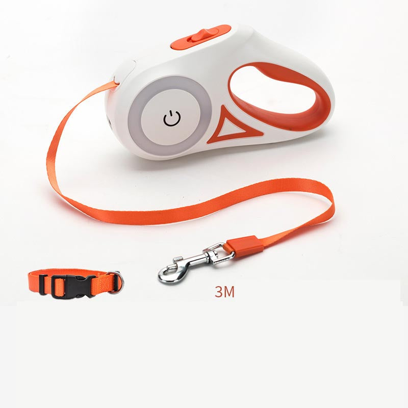Light Leash and Collar