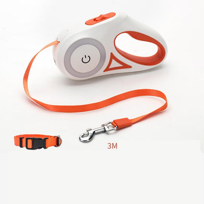 Light Leash and Collar