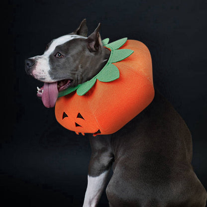 Maskeraddräkt: Pumpa