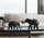 Abstract Elephant Figurine Set