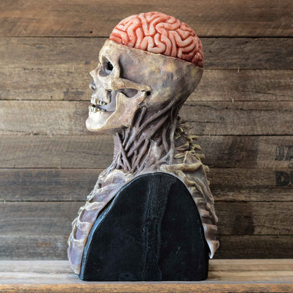 Ventayo – Creepy Skeleton Mask | Realistic Skull Mask with Moving Jaw for Halloween Fun