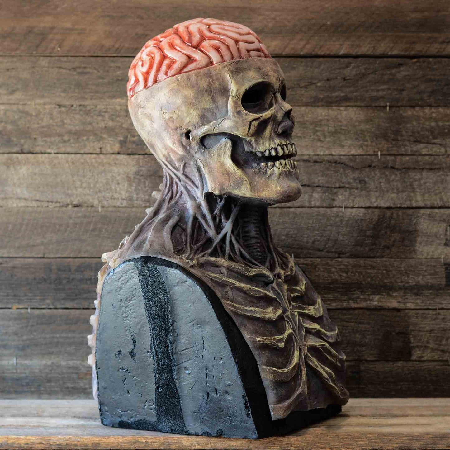 Ventayo – Creepy Skeleton Mask | Realistic Skull Mask with Moving Jaw for Halloween Fun