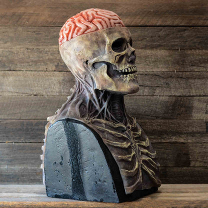 Ventayo – Creepy Skeleton Mask | Realistic Skull Mask with Moving Jaw for Halloween Fun