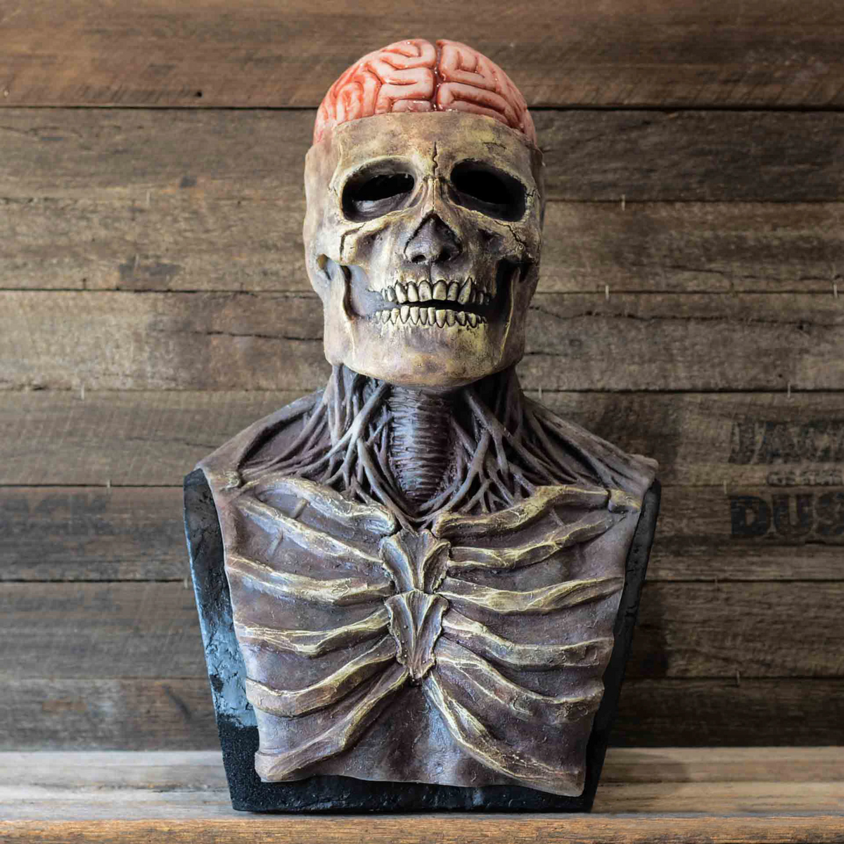 Ventayo – Creepy Skeleton Mask | Realistic Skull Mask with Moving Jaw for Halloween Fun