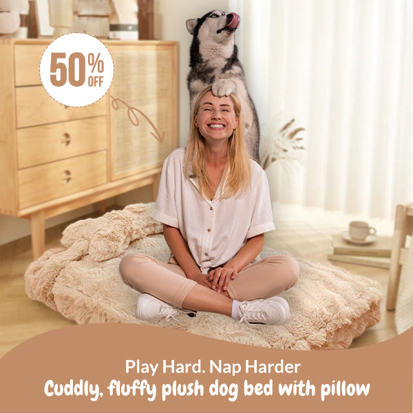 Lit pour chien en peluche moelleuse et câline avec oreiller – Confort ultra-doux