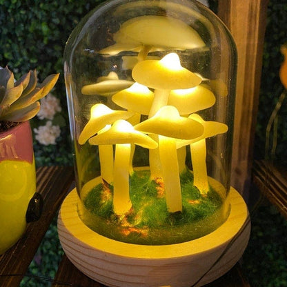 DIY Mushrooms in Forests Light