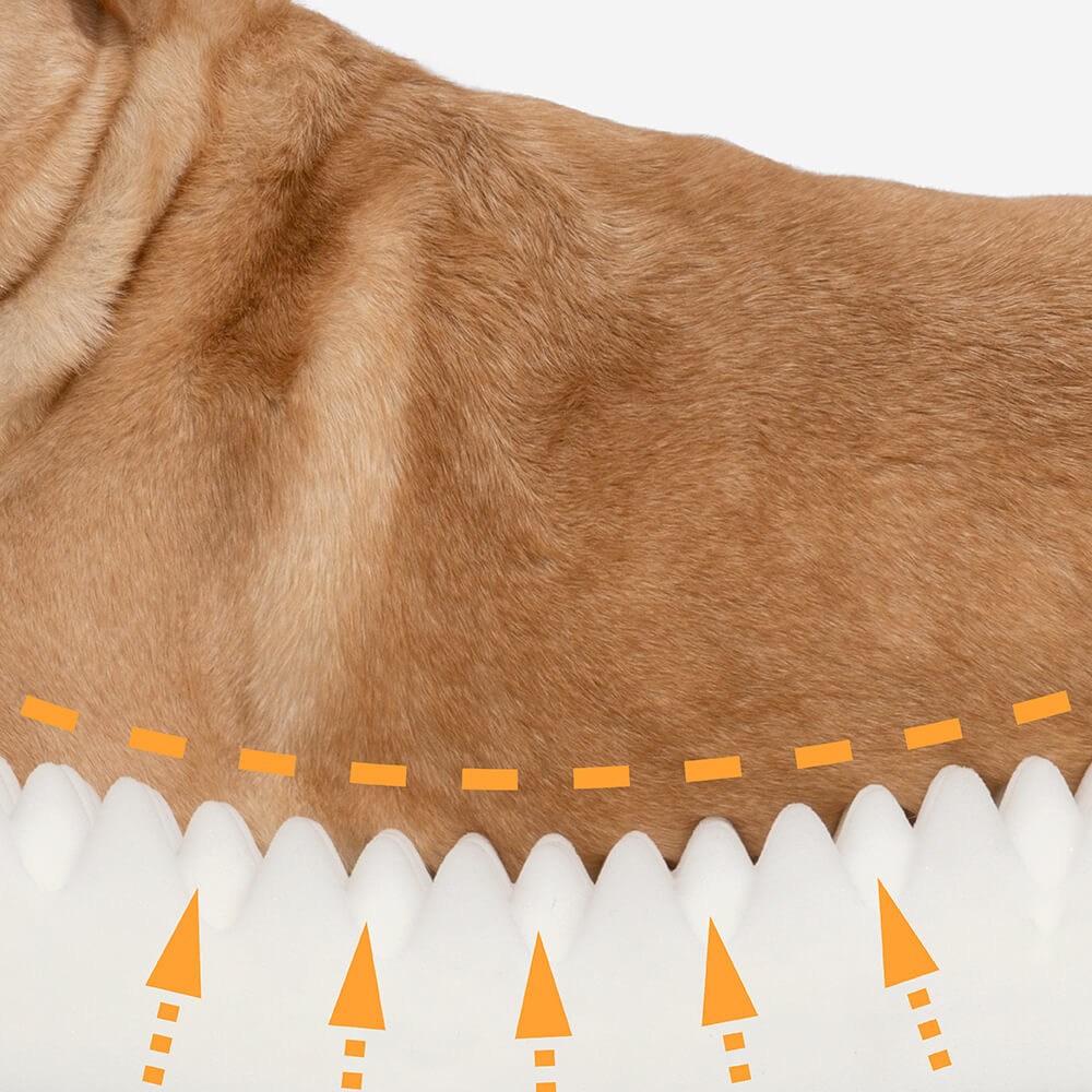 Full-Support Orthopedic Dog Bed with Faux Fleece & Suede