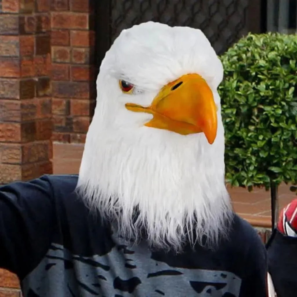 Ventayo – Eagle Head Mask | Realistic Animal Costume Accessory for Halloween Fun