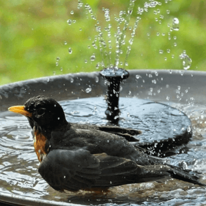 Ventayo – Elegant Solar Fountain | Solar-Powered Water Fountain with Adjustable Spray | Eco-Friendly Design for Outdoor Serenity