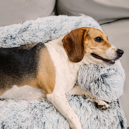 Calming Furniture Protector Dog Bed - Cozy Backrest
