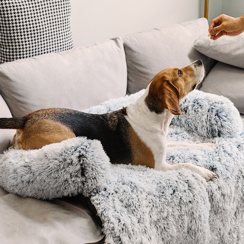 Calming Furniture Protector Dog Bed - Cozy Backrest