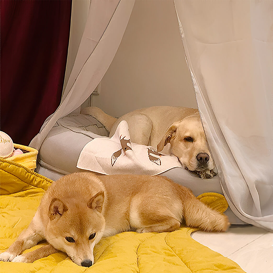 Leaf Shape Dog Blanket with Donut Dog Bed Luxury Dog Gifts