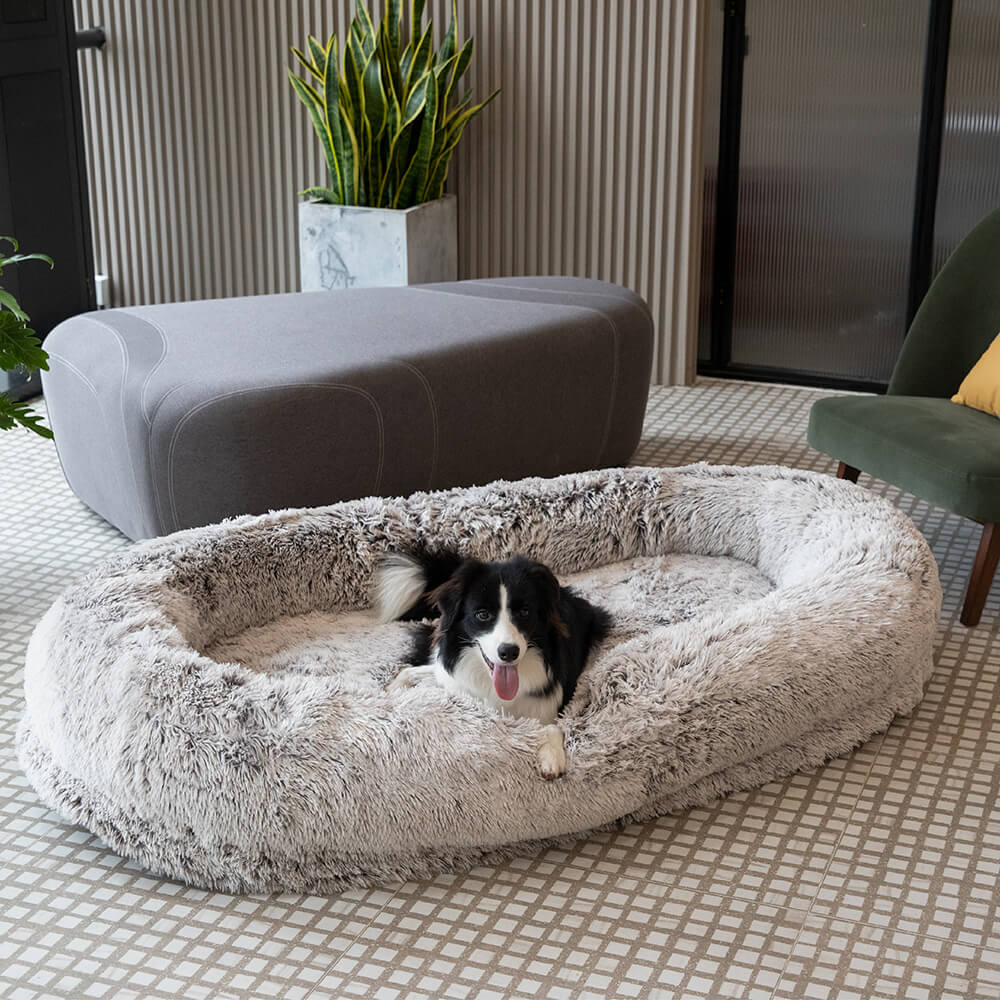 Luksuriøs super stor oval hundeseng til dybere søvn