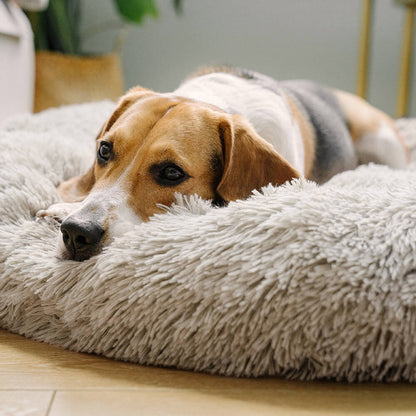 Cozy dog bed cloud 7 | the original
