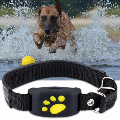 GPS-Haustier-Tracker