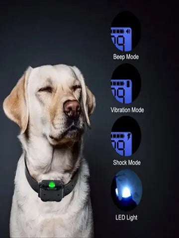 Collar eléctrico para perros Collar de entrenamiento para perros Recargable con pantalla LCD para collar de entrenamiento para mascotas de todos los tamaños