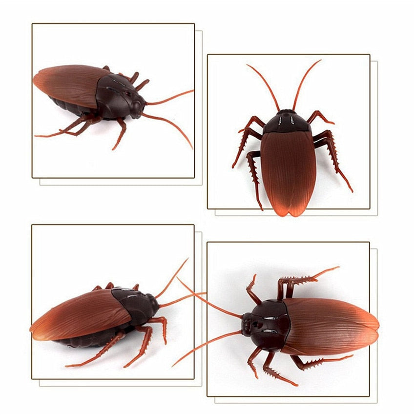 Remote Controlled Cockroach Bug Toy – Ventayo