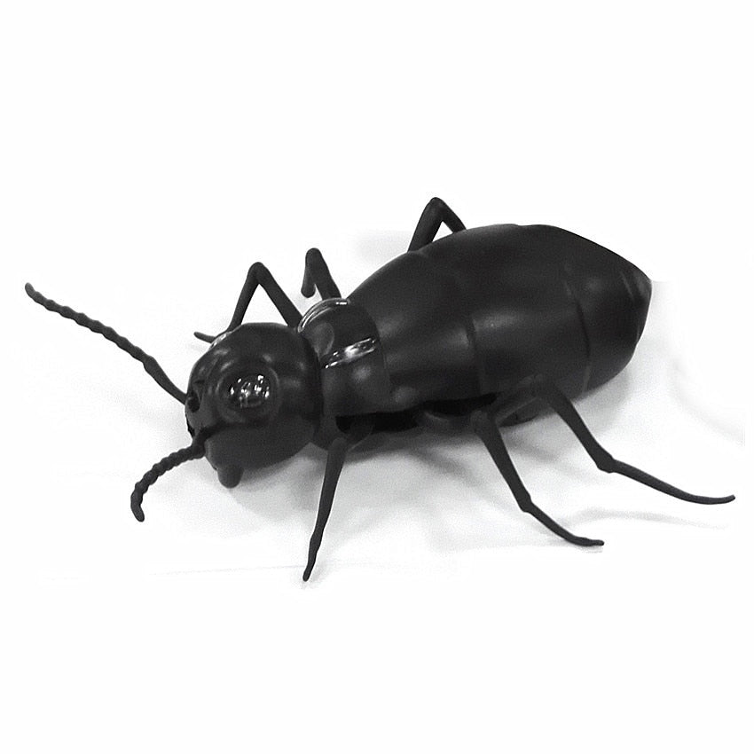Remote Controlled Cockroach Bug Toy – Ventayo
