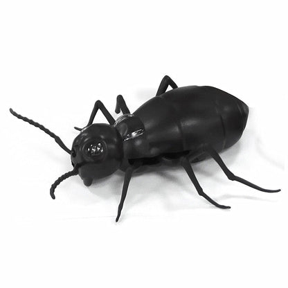 Remote Controlled Cockroach Bug Toy – Ventayo